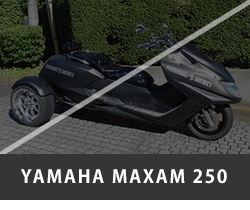 YAMAHA MAXAM250